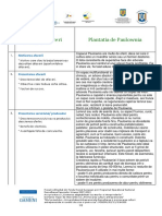 Plantatie de Paulownia.pdf