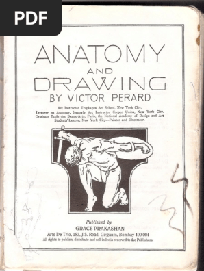 Anatomy And Drawing By Victor Perard