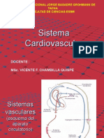 Sistemas Vasculares