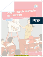 Tema 6 Organ Tubuh Manusia Dan Hewan