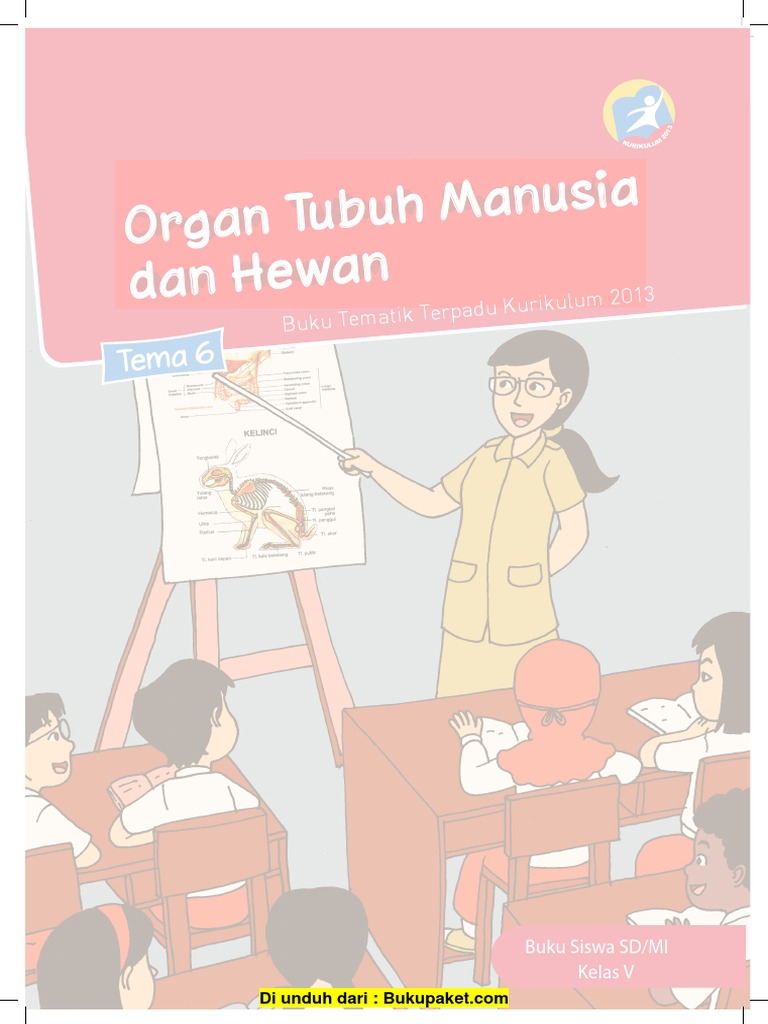 Tema 6 Organ Tubuh Manusia Dan Hewan