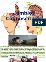 Cambios Cognoscitivos Psci Evolutiva