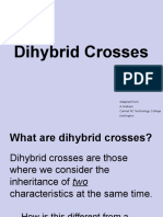 dihybrid crosses introduction powerpoint