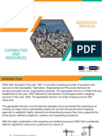 Global Geospatial Service Providers