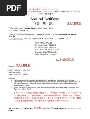 英文診断書 紹介状 意見書セット 診断書サンプル Pdf