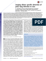 Immunopet/Mr Imaging Allows Specific Detection of Aspergillus Fumigatus Lung Infection in Vivo