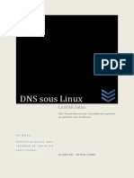 DNS Sous Linux - Lasfar Salim