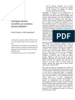 Moringa Propiedades.pdf