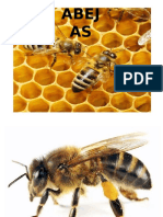 Abejas