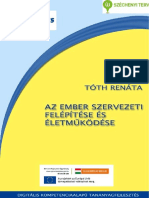 Ember Szervezeti Felep PDF