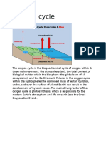 Oxygen Cycle