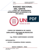 Capa Limite en Proyectos de Tesis