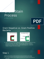 Gram Stain Process 1