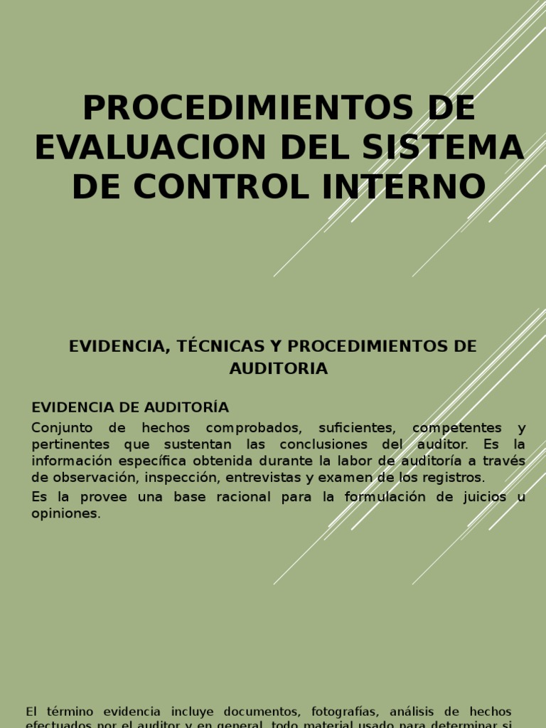Evidencia Tecnica y Procedimientos de Auditoria | PDF | Auditoría ...