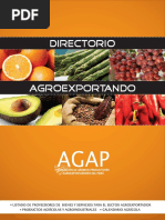 Download Directorio 2010 by AGAP Per SN336310417 doc pdf