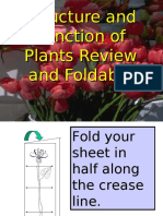 Plants Foldable Final