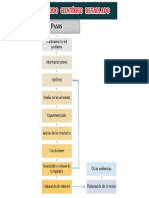 Pasos Del Método Científico