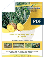 guiatecnicapina2011-140209225929-phpapp01.pdf