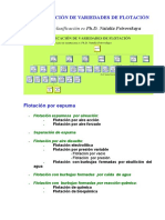 Clasificación de Variedades de Flotación