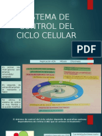 Sistema de Control Del Ciclo Celulara