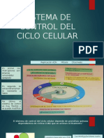 SISTEMA-DE-CONTROL-DEL-CICLO-CELULARa.pptx