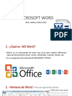 Microsoft Word PDF