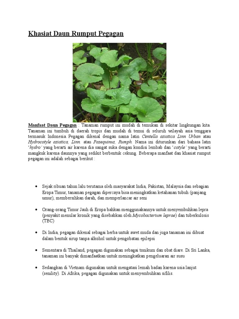 Khasiat Daun Pegagan dan Rumput Liar | PDF