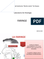 La Faringe