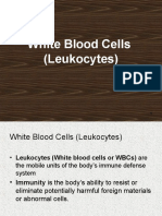 Lecture1-White Blood Cells