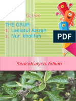 English: The Grup: Laelatul Azizah Nur Kholifah