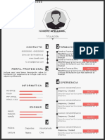 plantilla-curriculum-v 4.doc