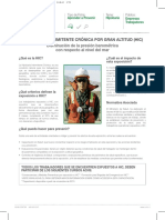 4. Ficha Tecnica HIC.pdf