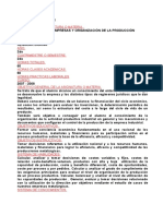 Programa Analitico Dir y Org de Empresas