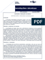 Carvoeiro-producao-de-mudas-Embrapa-2000.pdf