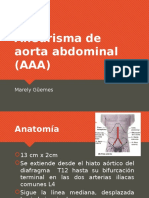 Aorta Abdominal