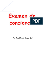 Conciencia PDF