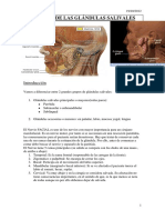 420-2014-02-26-06 Glandulas salivales.pdf