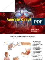 Aparato Circulatorio