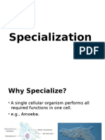 Cell Specialization