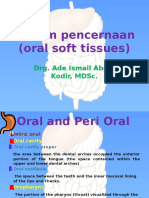Sistem Pencernaan (Oral Soft Tissues) : Drg. Ade Ismail Abdul Kodir, MDSC