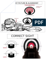 Correct Sight Picture