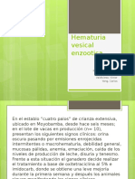 Hematuria Vesical Enzootica