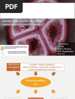 P4G4-RitaMagalhaes-1