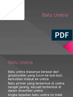 Batu Uretra