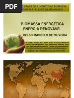 Biomassa Energética e Energia Renovável
