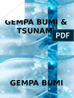 Gempa Bumi & Tsunami