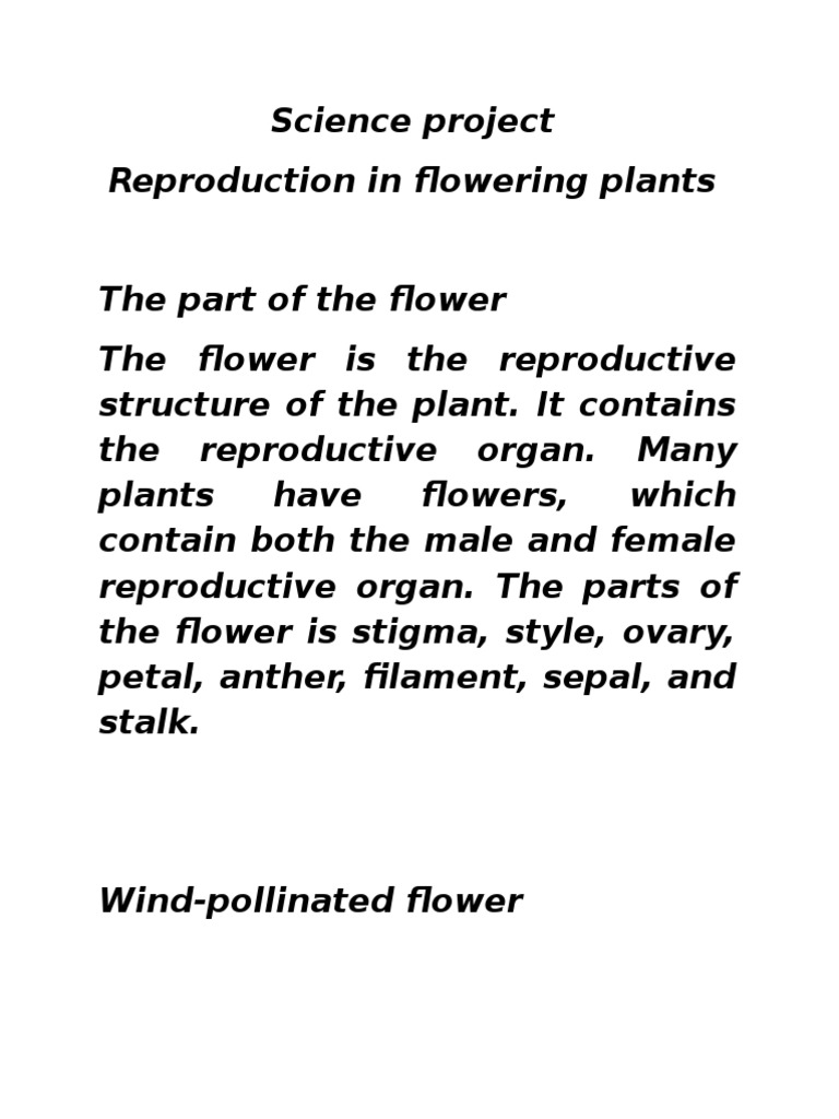 Science Project | PDF
