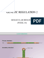 Genetic Regulation 2: Molecular Biology (WEEK 14)