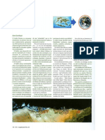 Arq VIVA 111 PDF