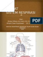 Anatomi Dan Fisiologi Sistem Respirasi